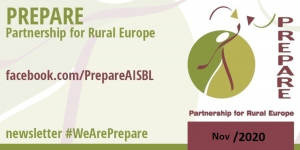 Newsletter #WeArePrepare (Nov 2020)